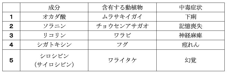 解説画像